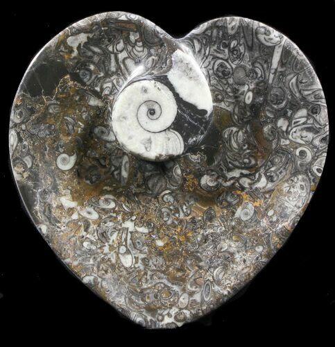 Heart Shaped Fossil Goniatite Dish #39340